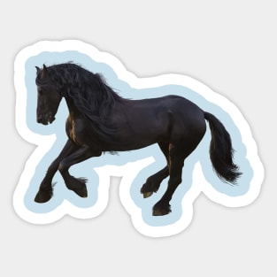 Horse Sticker